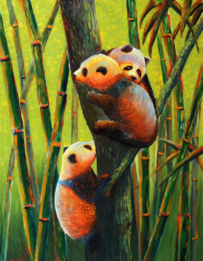 Pandas